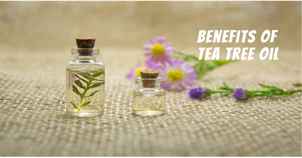 Benefits of tea tree oil